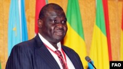 FAO Assistant Director-General Bukar Tijani says more youth are needed in agriculture. Credit: FAO