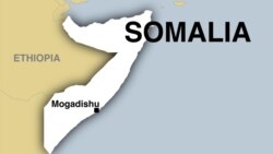 ቀልቢ ዻጋ ለኢትዮጵያ ተሰጥተዋል