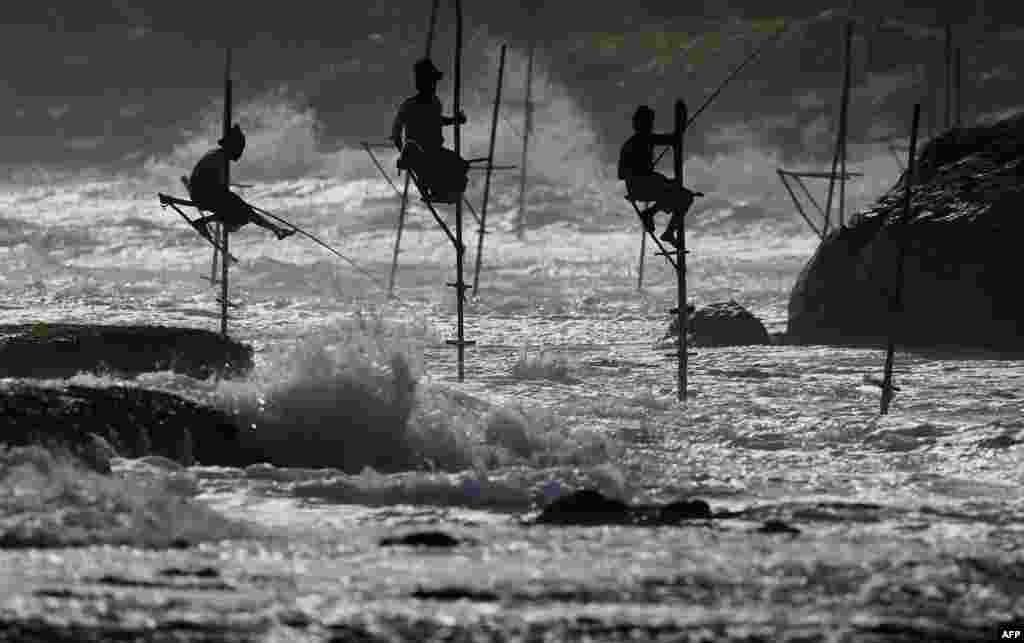 Sri Lankan stilt fishermen work on their poles in the southern town of Galle, July 1, 2017.