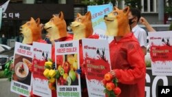 Aktivis vegetarian Korea Selatan yang mengenakan masker anjing melakukan unjuk rasa menentang budaya makan daging anjing di Korea Selatan di Seoul, Korea Selatan, Kamis, 16 Juli 2020. (Foto: AP)