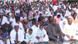 Kabaja Ayyaana Iid Aal Faxir Naannoo Waashingitan Diisiitti