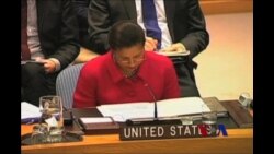 美驻UN大使赖斯将任总统国安顾问