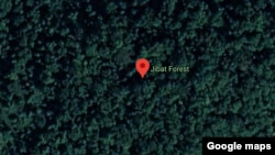 Bosona Jibaat, Godina Shawaa Lixaa