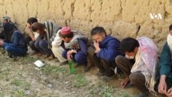 کمپاین تابستانی جمع آوری معتادان بی‌سرپناه دربامیان