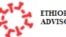 The Ethiopian Diaspora High-Level Advisory Council on COVID-19 