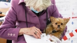 Russia’s Elections ‘Competitive, Honest?’ Not a Chance