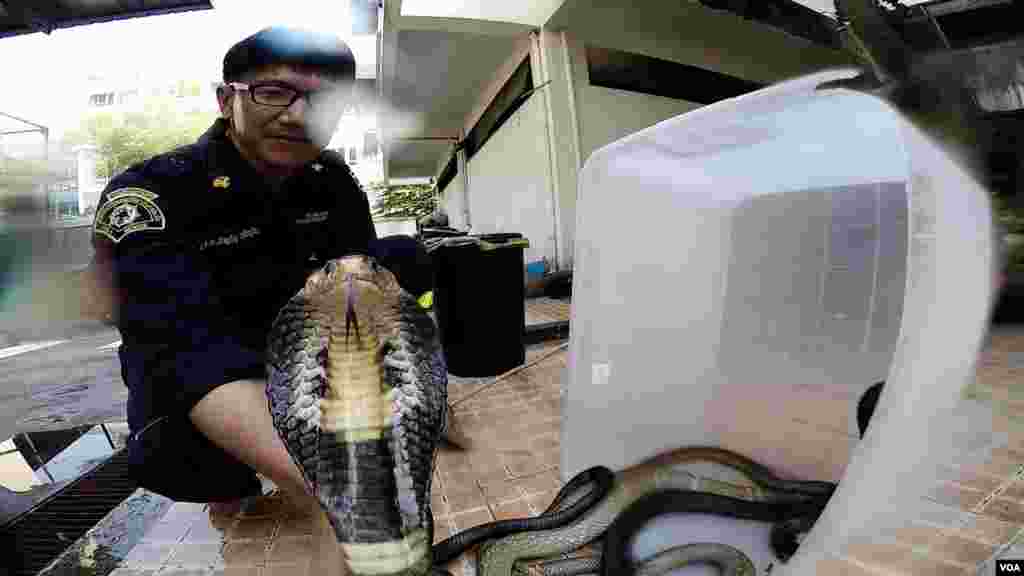 Babban Hafsan sojojin saman Najeriya da Takwaransa na sojojin Ruwan Najeriya 