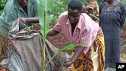 “面包为世界”组织说，女农民需要获得更多权利和资源