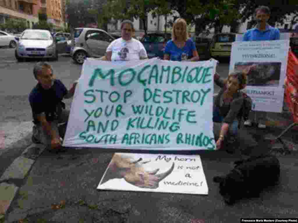 Moçambique: Pára de destruir a tua vida selvagem e de matar os rinocerontes sul-africanos. 