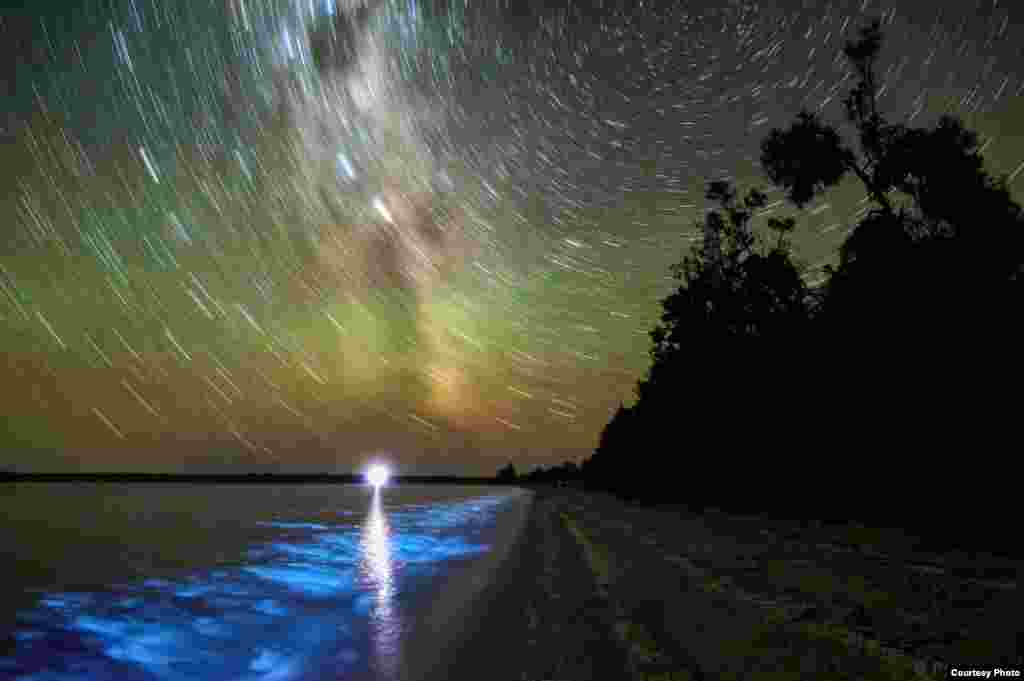 &quot;Bioluminescence and Star Trails&quot; (Pendaran Alam dan Jejak Bintang) oleh Phil Hart (www.philhart.com). (Courtesy: twanight.org/contest) 