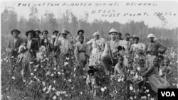 Plantasiya sahibi pambıq tarlasında işləyən qulları ilə şəkil çəkdirir.