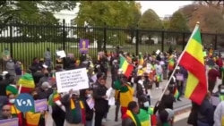 Lammiileen Itiyoophiyaa fi Ertiraa