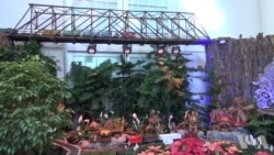 美国国家植物园展出31个老火车站模型