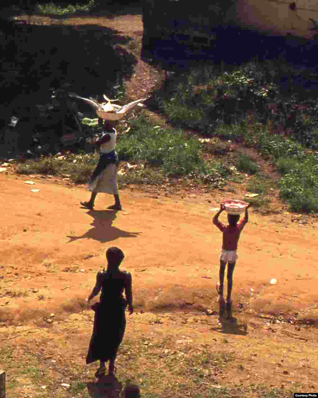 Fish headed to the local market from one of the local dugout fishing boats. (Submitted by George Bergeman)