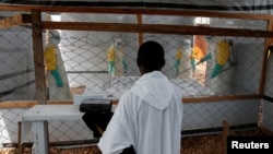 FILE - A priest watches as health workers dressed in Ebola protective suits prepare the body of an Ebola patient for burial at the Ebola treatment center in Butembo, in the Democratic Republic of Congo, March 26, 2019. 