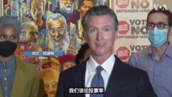 美加州州长罢免选举 佩洛西吁女性选民投票