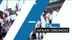 Tamsaasa Guyaadhaa Guyyaa