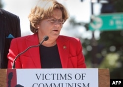 罗斯雷提南众议员