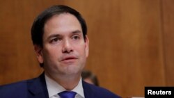 마르코 루비오 공화당 상원의원.