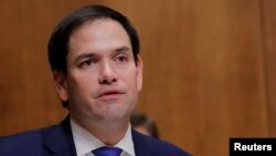 마르코 루비오 공화당 상원의원.