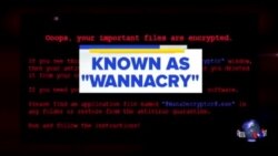 日本等150个国家的电脑遭勒索软件攻击