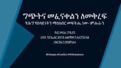ግጭትና መፈናቀልን ለመቅረፍ የሕግ የበላይነትን ማስከበር መፍትሔ ነው- ምሑራን