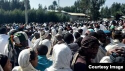 በሰሜን ጎንደር ዞንዳባት ወረዳ በምትገኝ ጭና ተክለሃይማኖት በተባለች ገጠር ቀበሌ በጅምላ ለተገደሉ የጋራ የለቅሶ ሥነ ስርዓት ሲካሄድ