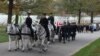 Caisson horses pull the flag-draped casket of Retired U.S. Army Col. Robert W. Gambino to its final resting place at Arlington National Cemetery. (VOA/J. Taboh 