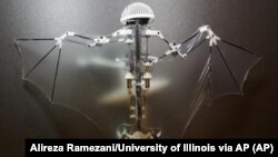 ربات پرنده «بت بات»