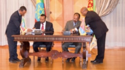 መግለጺ ኤርትራ ኣብ ካልኣይ ዓመት ስምምዕ ሰላም ኢትዮ- ኤርትራ