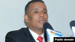 ፌደራል ጠቅላይ አቃቤ ሕግ ብርሃኑ ፀጋዬ