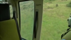 Endangered Rhinos Face New Threat: Antibiotic Resistance