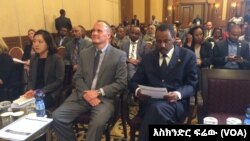 የዩናይትድ ስቴትስ አምባሳደር ማይክል ሬኖር 