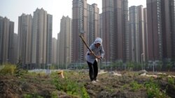 专访宋怡明：谈中国农民问题与海外中国学研究面临的挑战