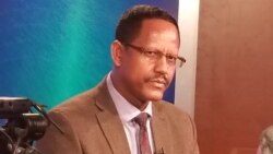 “የጠ/ሚኒስትሩ ሥራ መልቀቂያ ድንገተኛ አይደለም” - ዶ/ር ነገሪ ሌንጮ