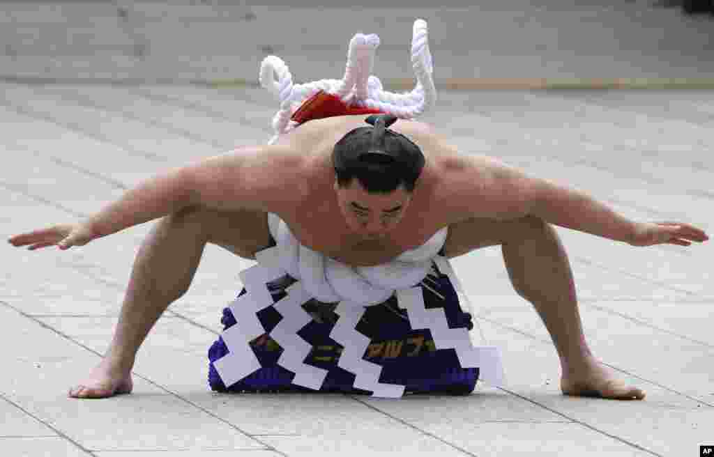 Juara gulat Sumo, Harumafuji dari Mongolia melakukan ritual Shinto di Kuil Meiji di Tokyo, Jepang. 