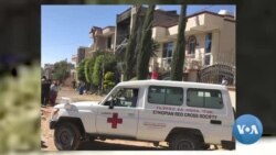 ሰብ-ሞያ ጥዕና ትግራይ መፃብቦ