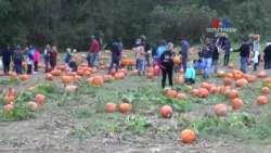 ԲԱՐԻ ԼՈՒՅՍ. Ինեսա Մխիթարյան՝ աշնանային փառատոն "Բաթլերի այգիներ"-ում