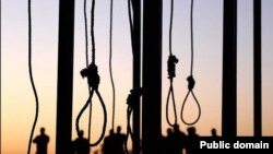 عراقي مقامات وایي ټول اعدام شوي کسان د داعش غړي وو