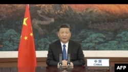 中国国家主席习近平在世界卫生大会视频开幕式上发表视频讲话。（2020年5月18日）