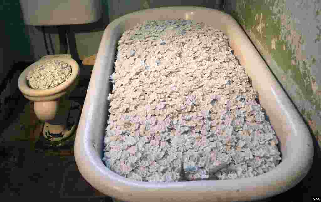 白瓷花朵绽放在澡盆和马桶（美国之音国符拍摄）