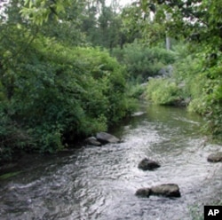 Erosion control and plantings shade Lititz Run, allowing for deeper pools of cool water