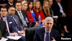 닐 고서치(앞) 대법관 지명자가 21일 상원 법사위 인사청문회에서 증언하고 있다.
