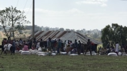Namoonni Naannoo Benishaangul Gumuz Keessaa Buqqa’anii Amma Wallagga Lixaa Keessa Deggersa Dhabuun Rakkataa Jirra, Jedhu
