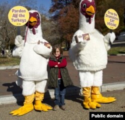 ለሁሉም ተርኪዎች ምኅረት እንዲደረግ ዋይት ሃውስ ደጅ ላይ ወጥተው የጠየቁ የተርኪ ልማድ ተቃዋሚዎች