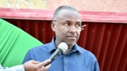 በከዚራ ጥላ ሥር