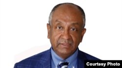 የኢትዮጵያ ሲቪክ ማህበራት ጥምረት አባል እና የስብሰባው ተጋባዥ ተናጋሪ ፕሮፌሰር ብሩክ ሀይሉ
