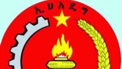 የግንቦት ሃያ 27ኛ ዓመት