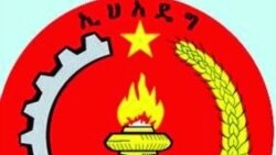 የኢህአዴግ ሥራ አስፈፃሚ ኮሚቴ ውሳኔን በተመለከተ የፖለቲካ ተንታኞች አስተያየት