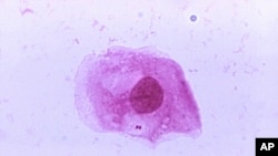 Kwayar halittar dake hadda sabuwar cutar dake da alajabi